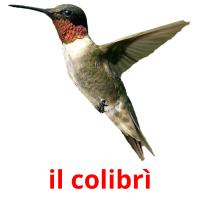 il colibrì card for translate