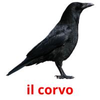 il corvo card for translate