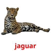 jaguar card for translate