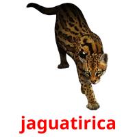 jaguatirica cartões com imagens
