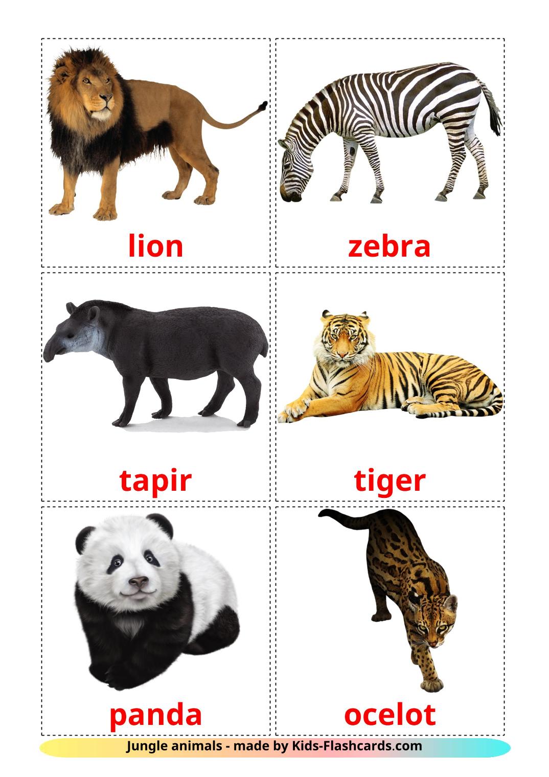 Jungle animals - 21 Free Printable english Flashcards 