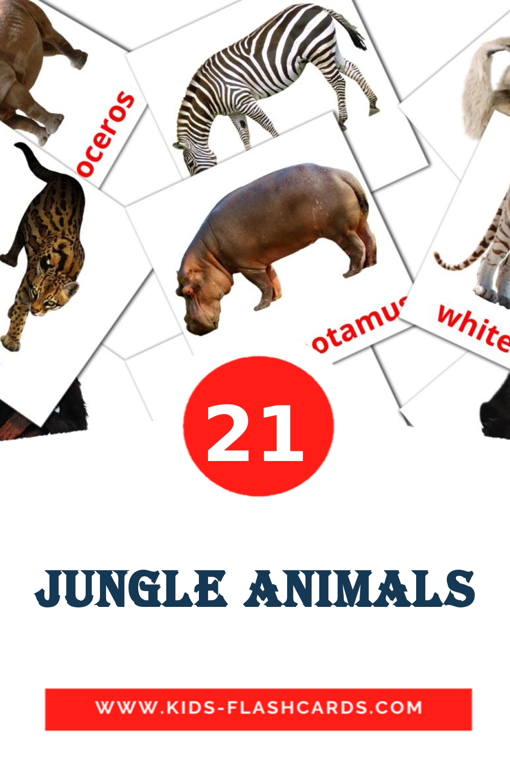 21 Jungle animals Picture Cards for Kindergarden in english
