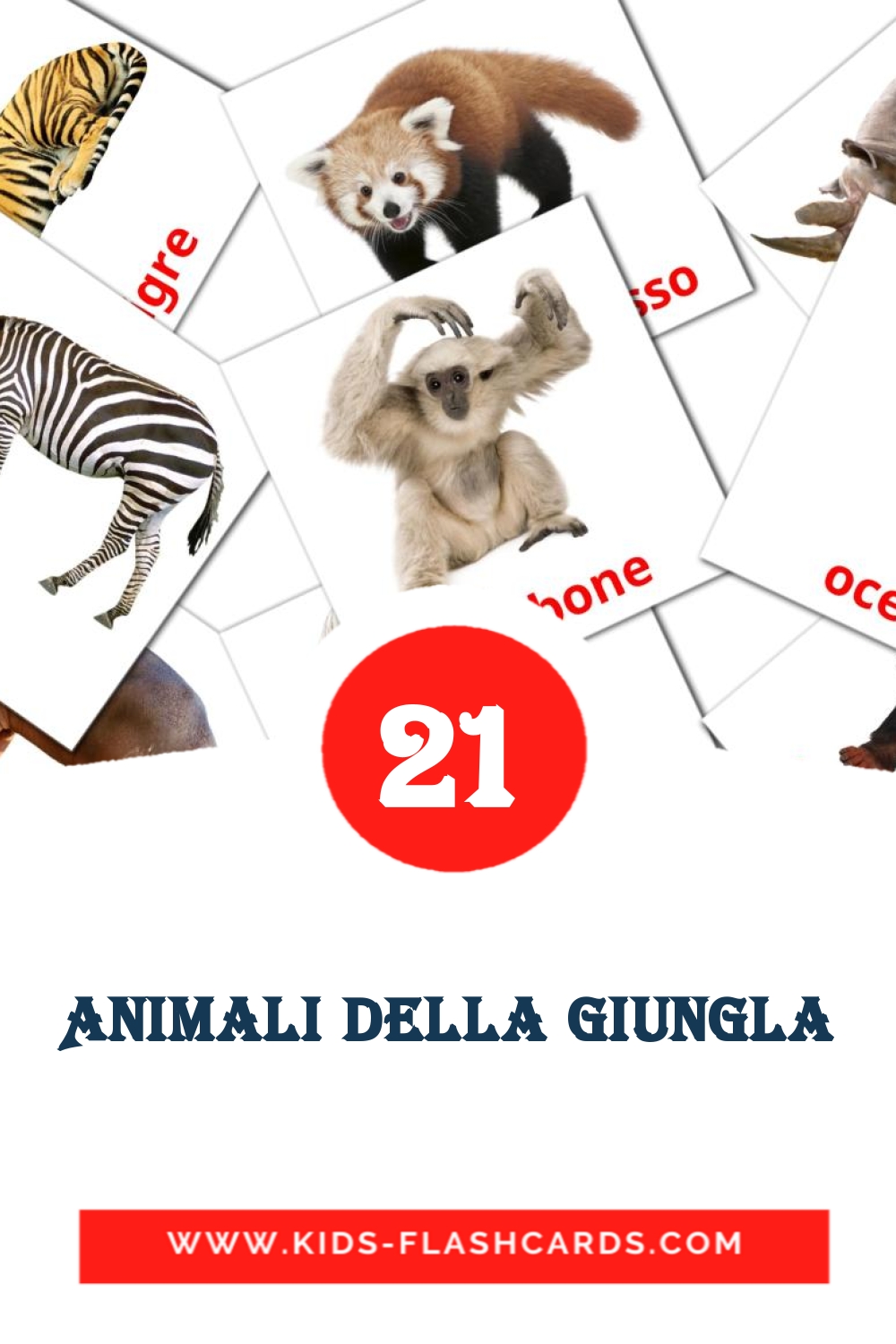 21 carte illustrate di Animali della giungla per la scuola materna in italiano