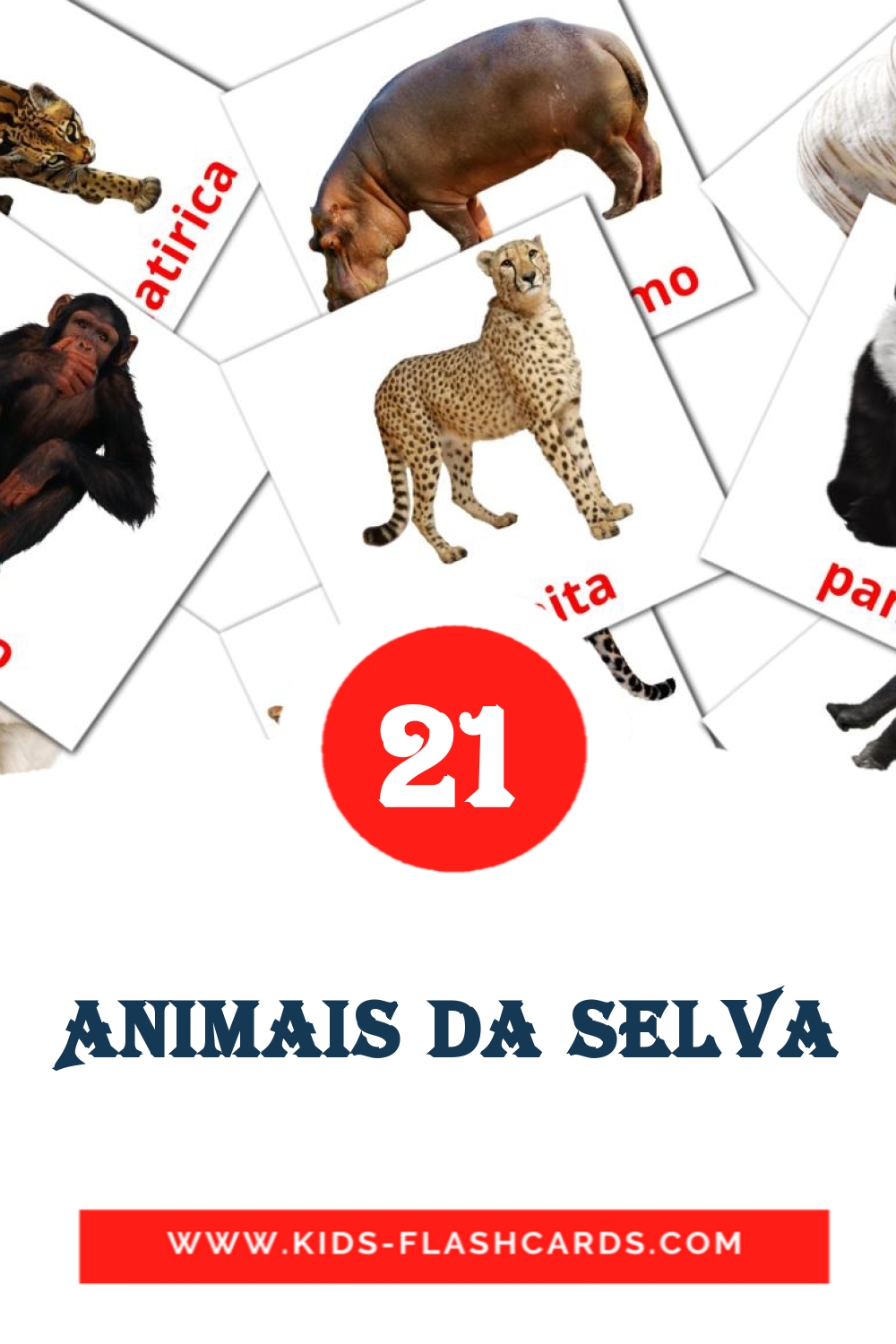 21 Cartões com Imagens de Animais da Selva para Jardim de Infância em português