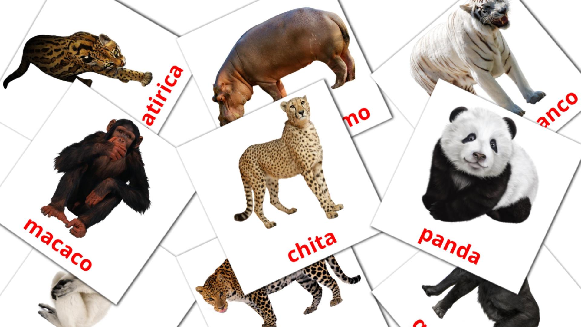 21 Flashcards de Animais da Selva