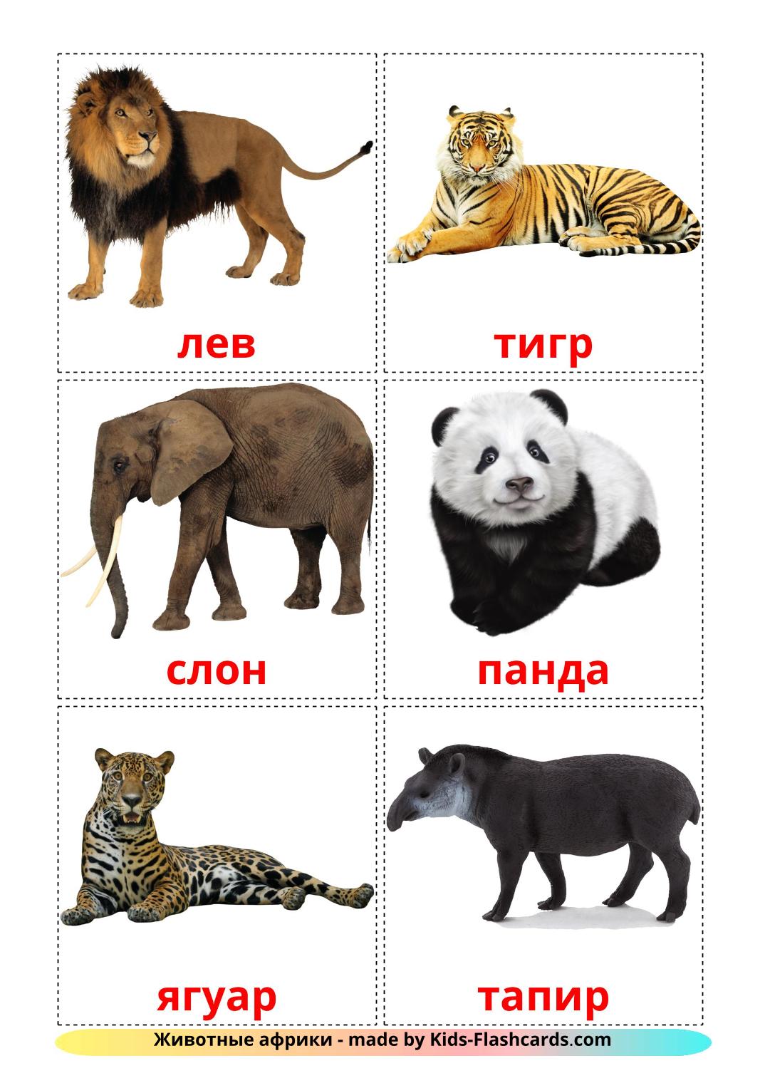 Животные африки - 21 Карточка Домана на русском