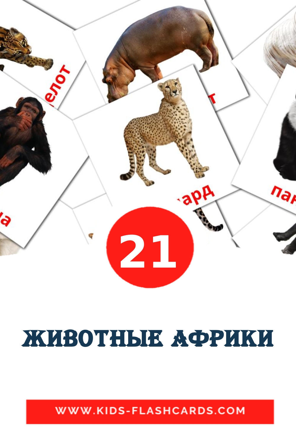 Животные африки на русском для Детского Сада (21 карточка)