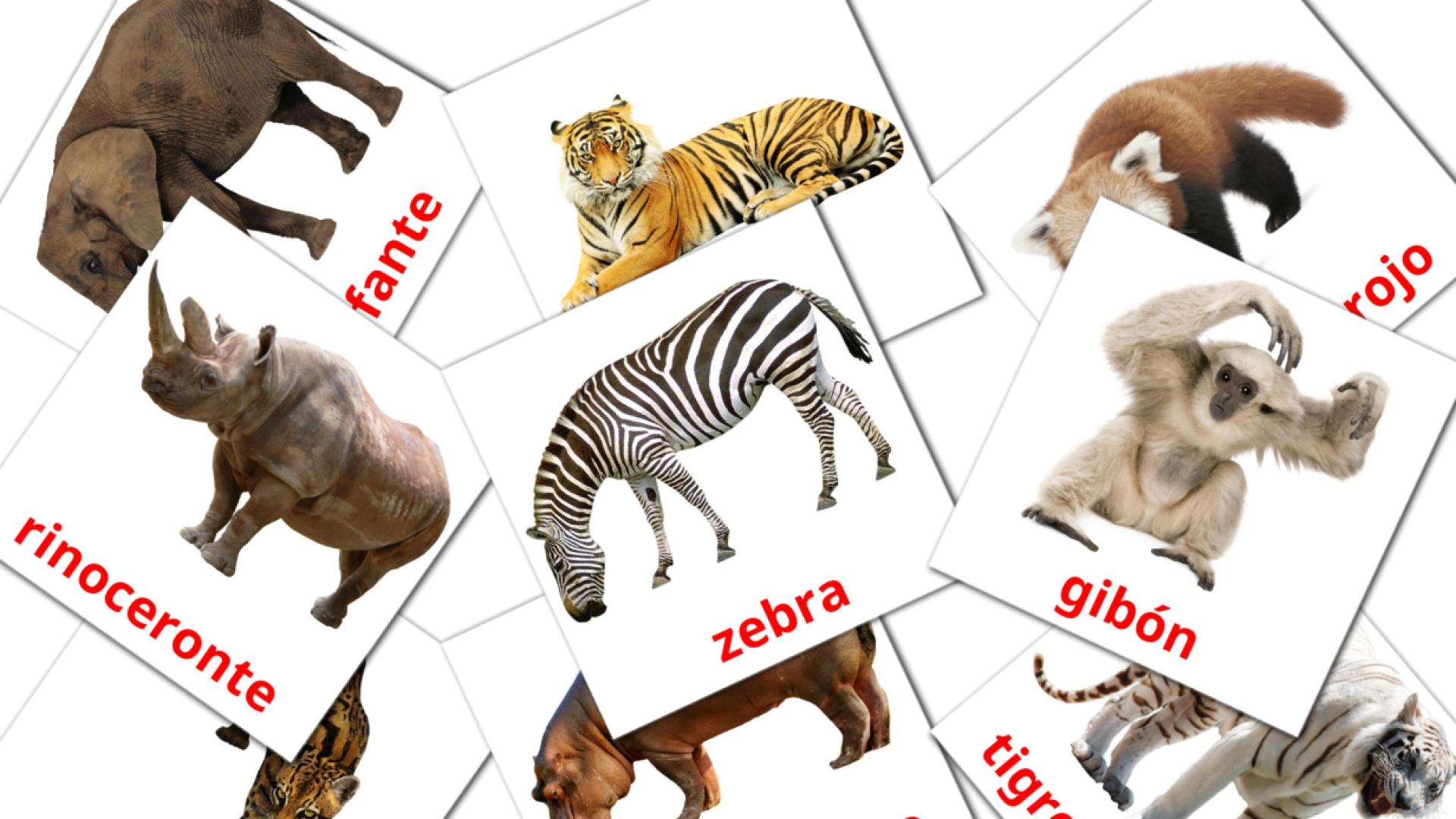 21 tarjetas didacticas de Animales de la Selva