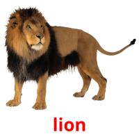 lion card for translate