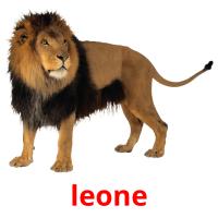 leone flashcards illustrate