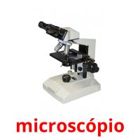 microscópio cartões com imagens