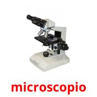 microscopio flashcards illustrate