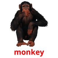 monkey card for translate