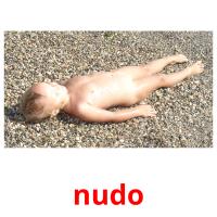 nudo flashcards illustrate