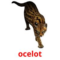 ocelot card for translate
