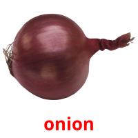 onion picture flashcards