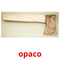 opaco card for translate