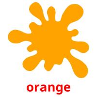 orange picture flashcards