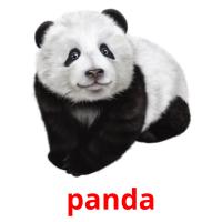 panda card for translate