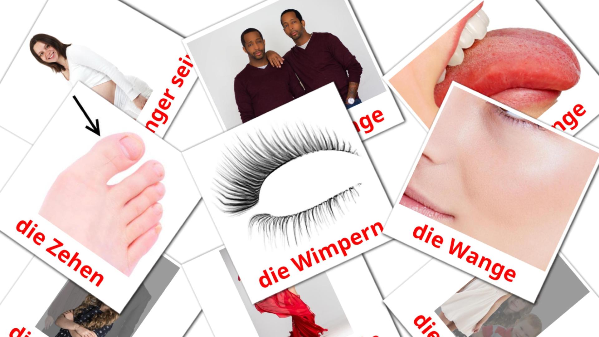 Menschen german vocabulary flashcards