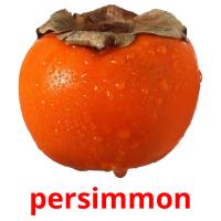 persimmon picture flashcards