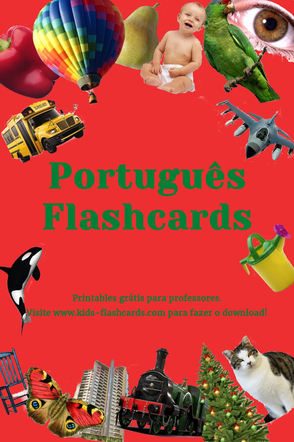Cartões de vocabulário Português