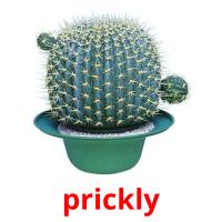prickly picture flashcards