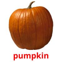 pumpkin picture flashcards