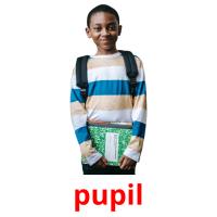 pupil picture flashcards