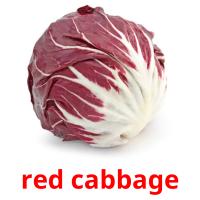 red cabbage picture flashcards