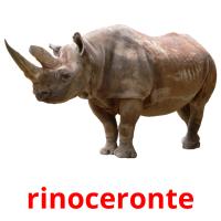 rinoceronte Tarjetas didacticas
