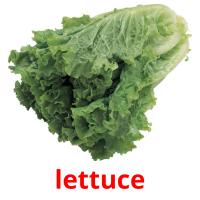 lettuce card for translate