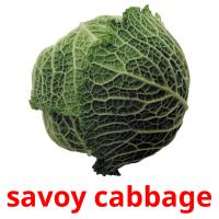 savoy cabbage picture flashcards