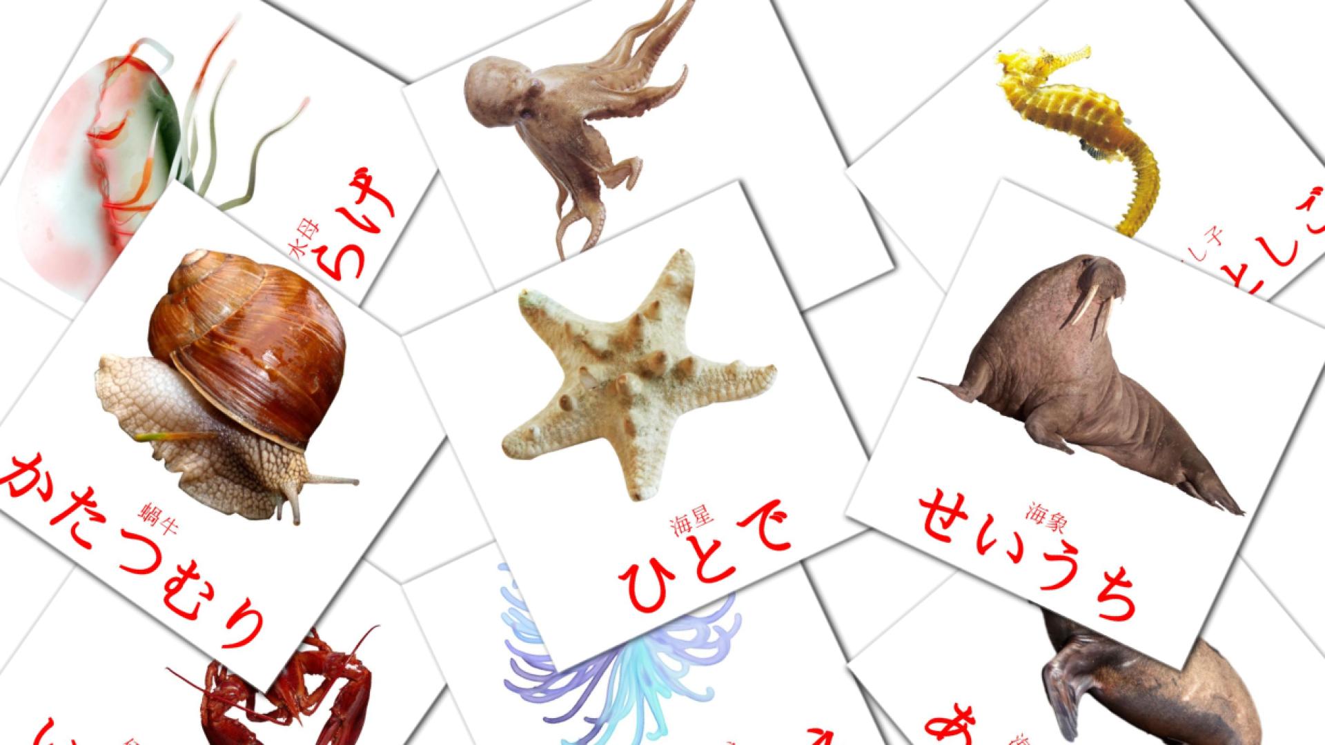29 魚類 - ぎょるい flashcards