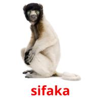sifaka card for translate