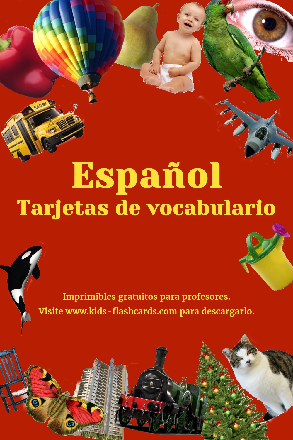 tarjetas de vocabulario en Español