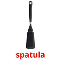 spatula card for translate