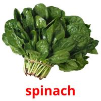 spinach picture flashcards