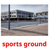sports ground picture flashcards
