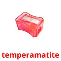 temperamatite flashcards illustrate