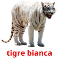tigre bianca card for translate
