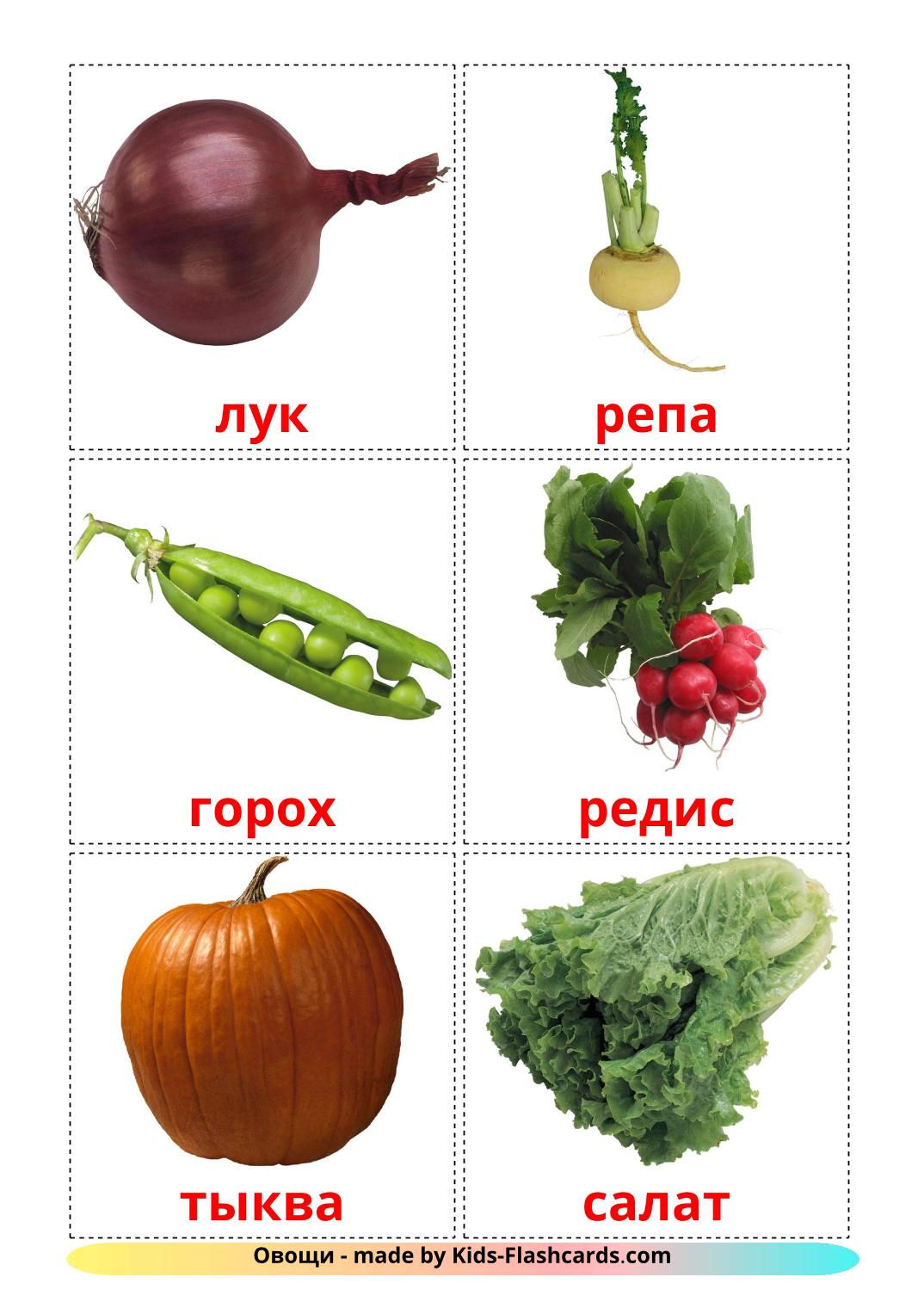Овощи - 29 Карточек Домана на русском