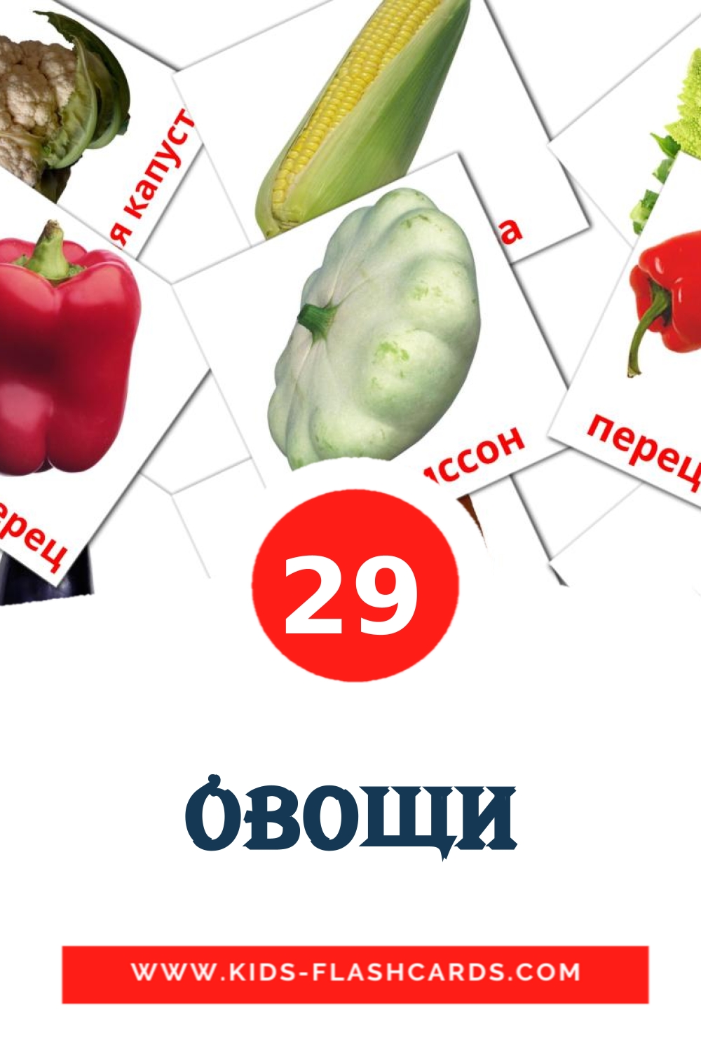 Овощи на русском для Детского Сада (29 карточек)