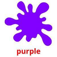 purple picture flashcards