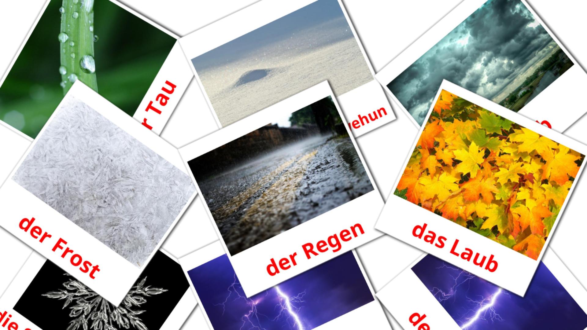 31 Wetter flashcards