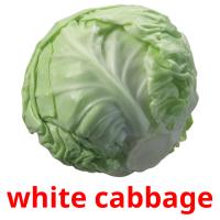 white cabbage picture flashcards