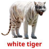 white tiger card for translate