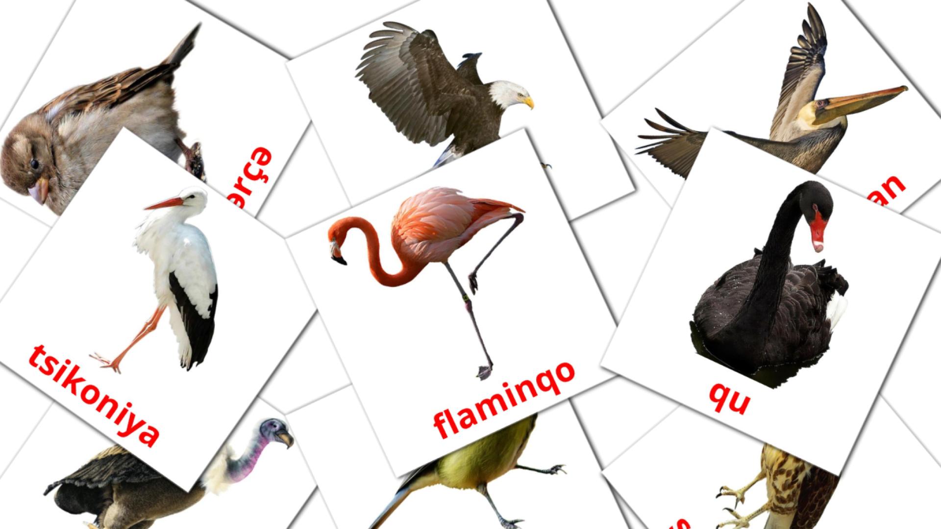 Uccelli selvaggi - Schede di vocabolario azerbaijani