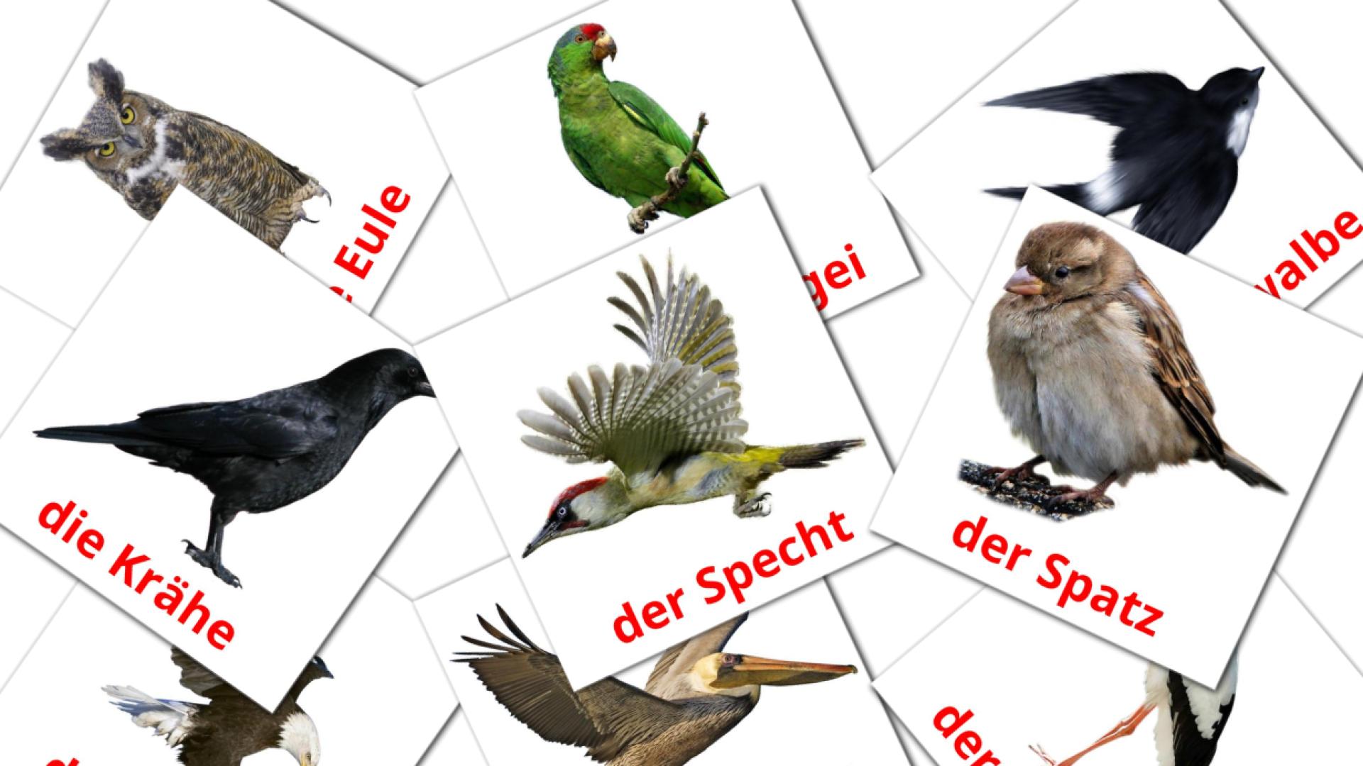 flashcards di Wildvögel