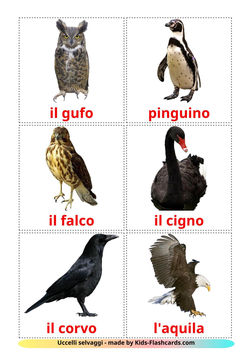 Uccelli selvaggi - 18 flashcards italiano stampabili gratuitamente